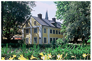 Linné trädgården